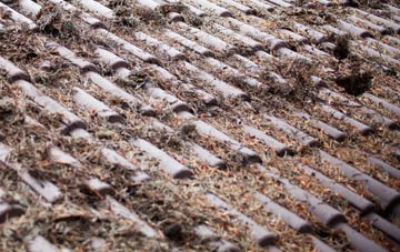 Crockey Hill roof cleaning companies