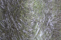 Crockey Hill fibreglass roof work